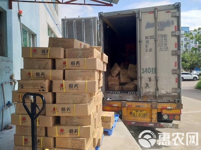冷凍鱸魚 速鮮白蕉海鱸的現(xiàn)代水產加工與優(yōu)勢